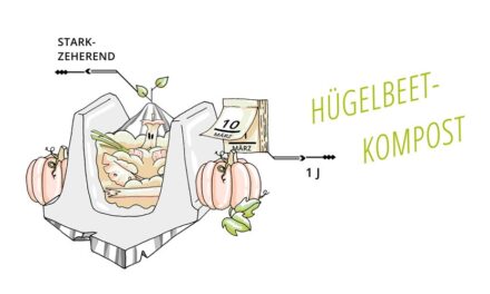 Der Hügelbeet-Kompost von Sepp Holzer