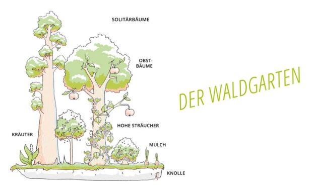 Der Waldgarten – gestalte Deinen Garten zu einem vielfältigen Paradies